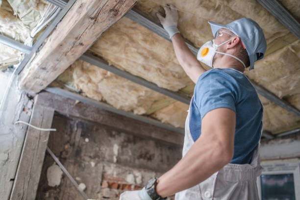 Best DIY Insulation Kits and Guidance in Seaman, OH